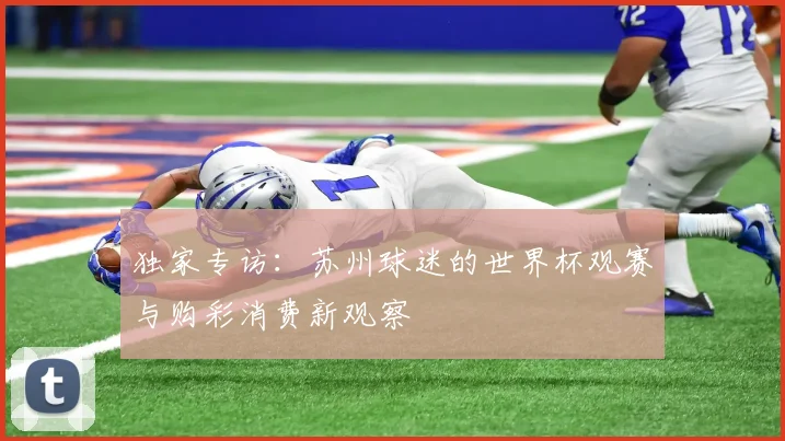 独家专访：苏州球迷的世界杯观赛与购彩消费新观察