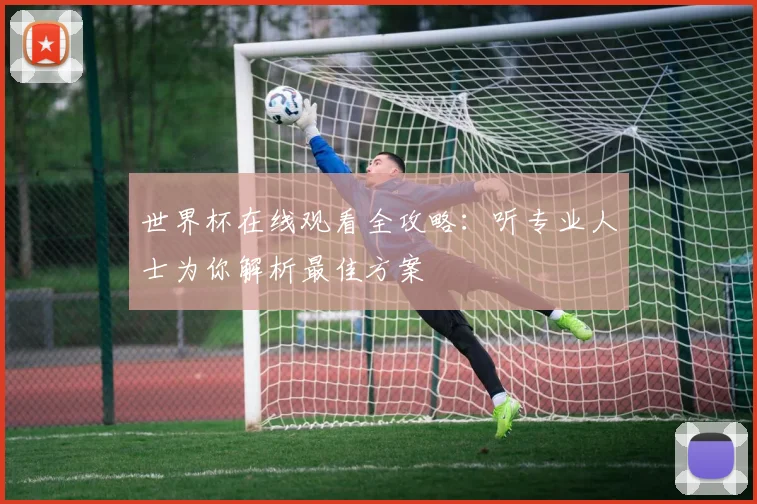 世界杯在线观看全攻略:听专业人士为你解析最佳方案