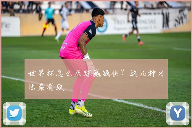 世界杯怎么买球赢钱快？这几种方法最有效