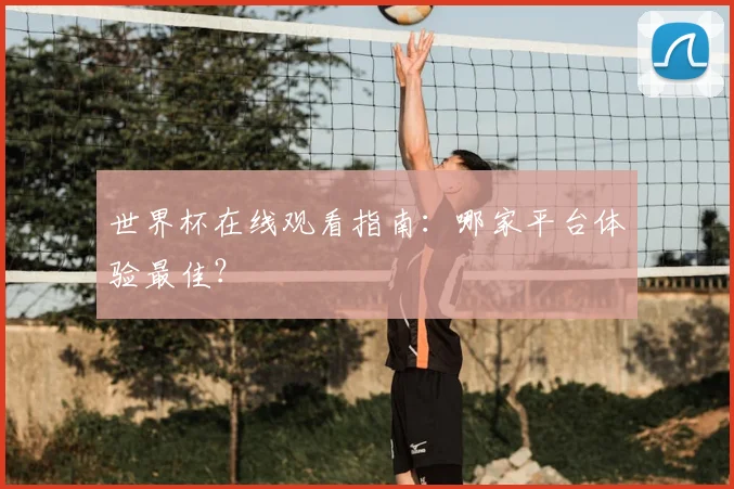 世界杯在线观看指南：哪家平台体验最佳？