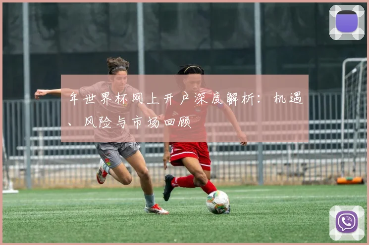 年世界杯网上开户深度解析：机遇、风险与市场回顾