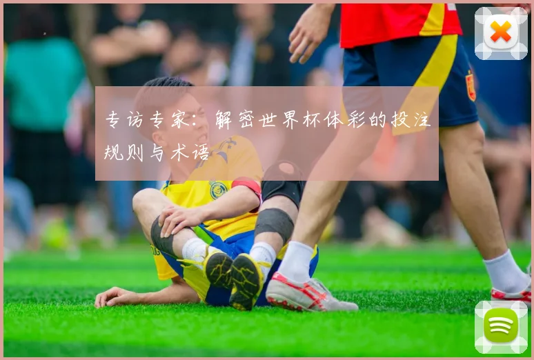 专访专家：解密世界杯体彩的投注规则与术语