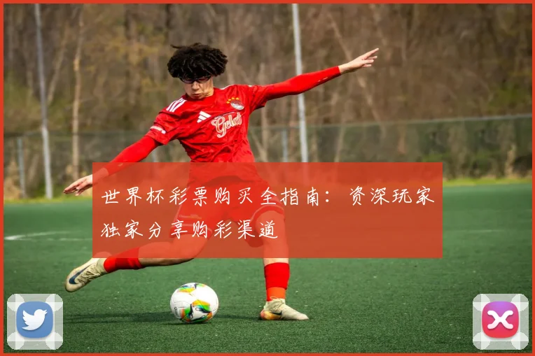 世界杯彩票购买全指南：资深玩家独家分享购彩渠道