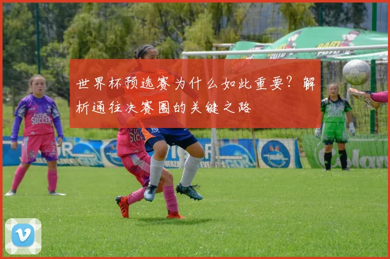 世界杯预选赛为什么如此重要？解析通往决赛圈的关键之路