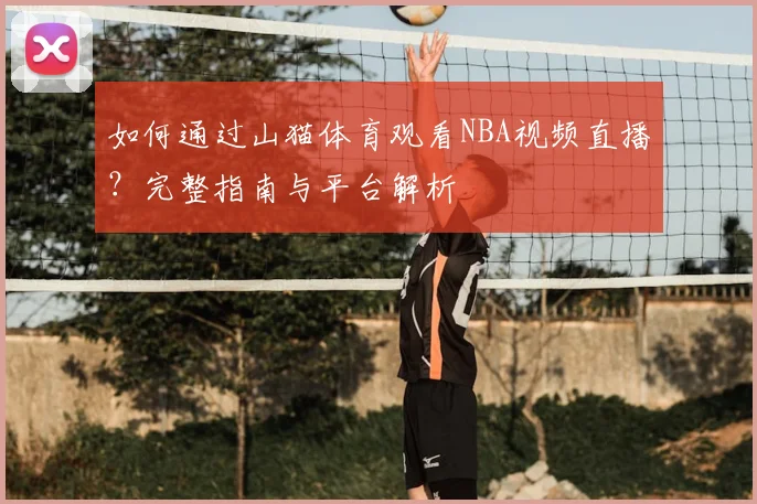 如何通过山猫体育观看NBA视频直播？完整指南与平台解析