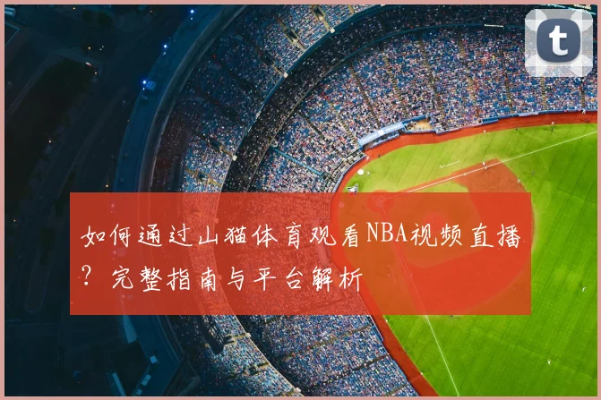 如何通过山猫体育观看NBA视频直播？完整指南与平台解析